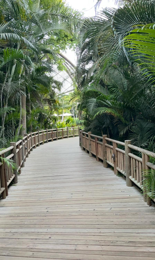 2, Vidanta Nuevo Vallarta, Puerto Vallarta