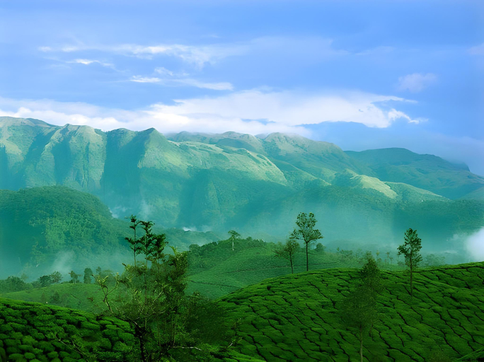 Others 3, Manis Home Stay Valparai, Coimbatore