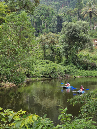 Others 5, Misty Woods Resort, Kodagu