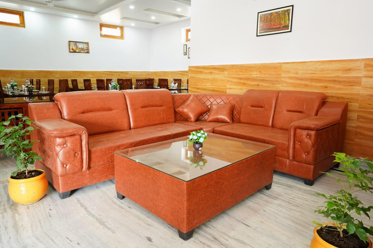 Public Area 3, Kavin Sparrow - Near Cricket Stadium, Kangra
