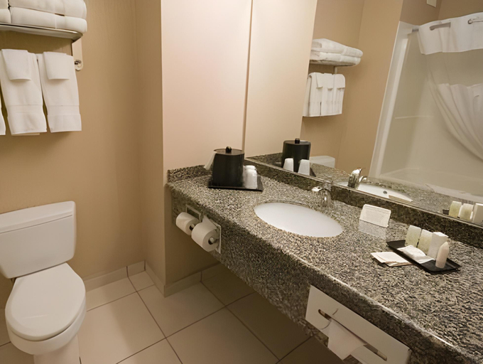 Bathroom 4, REDWOOD INN AND SUITES, Division No. 19