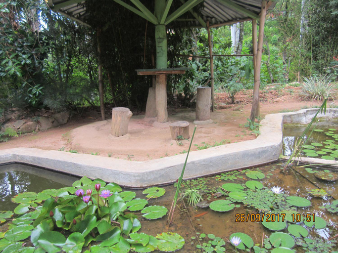 Food and beverages, Tree House Holiday Home, Haputale