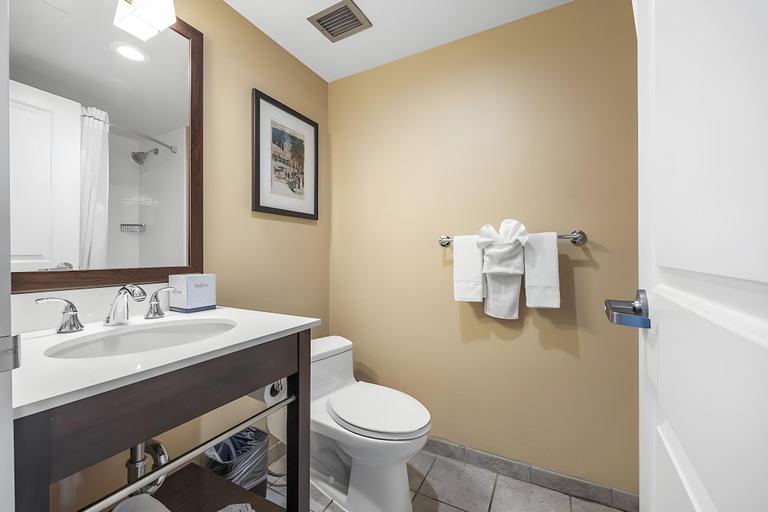 Bathroom 3, Forest Park Hotel by MDR, Saint Louis