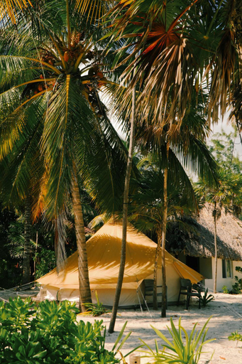 Others 4, Hotel Cielo y Selva, Cozumel