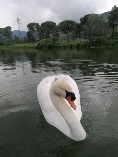 Others 5, La Cannucciola, Terni