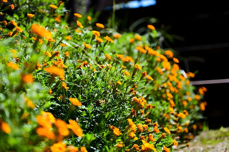 Others 5, Between Sky and Land Hilling Stay, Gapyeong