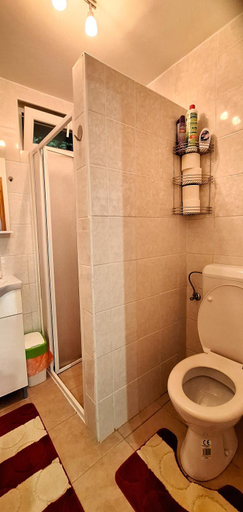 Bathroom 2, Julia Vendeghaz Sarrod, Sopron-Fertőd