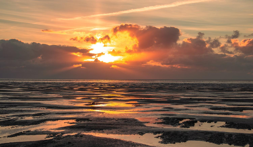 Others 2, Wad & Loft unieke paalwoning vlakbij de Waddenzee, Franekeradeel