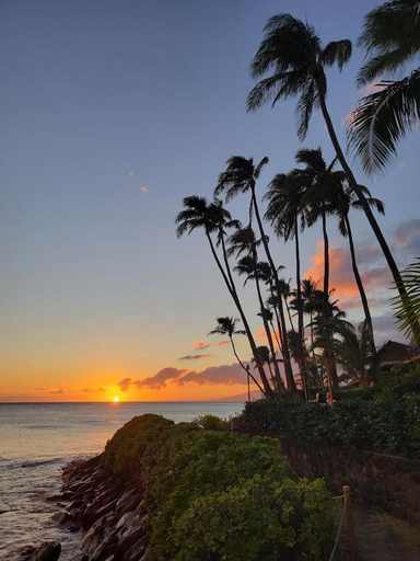 Others 4, Napili Shores - Ocean Front Ground Floor, Maui