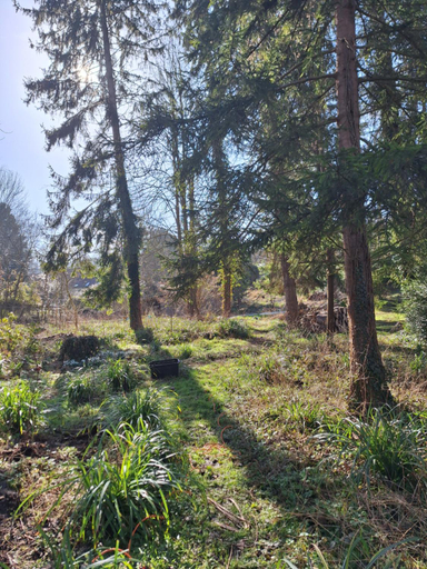 Others 2, Le Refuge des Libellules, Oise
