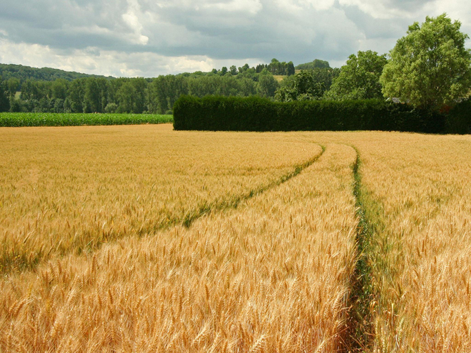 Others 4, Farmstay with Garden Views, Gulpen-Wittem
