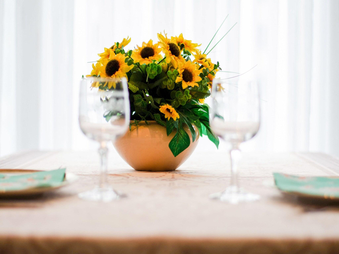 Food & Drinks 5, Cozy Stay by the North Sea, West-Vlaanderen
