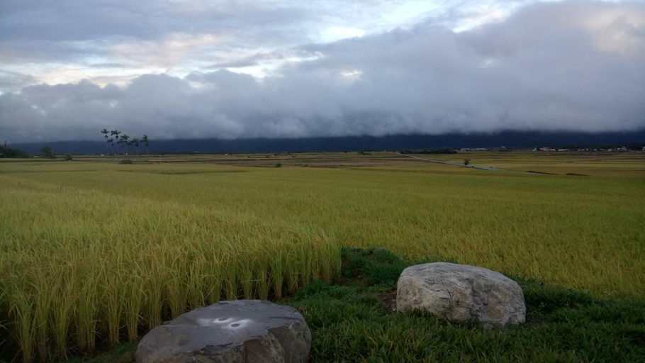 Others 3, Brown No.3 B&B, Taitung