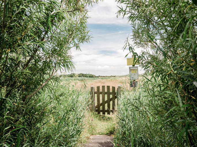 Others 4, Beach Lodge Callantsoog near Dunes Beach, Zijpe