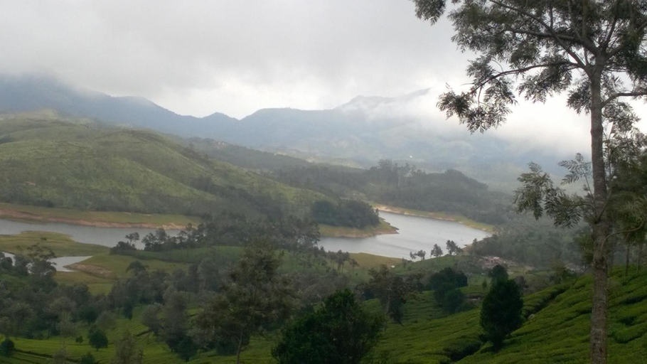 Others 2, Neelakurunji Plantation Munnar, Idukki