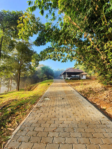 Others 3, Bamboo Grove, Wayanad