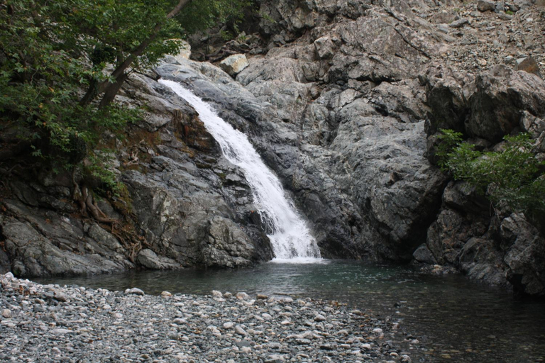 Others 4, Studios La Kastania, East Macedonia and Thrace