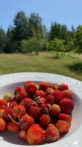 Food & Drinks, Skonero, Valdemarsvik, Valdemarsvik