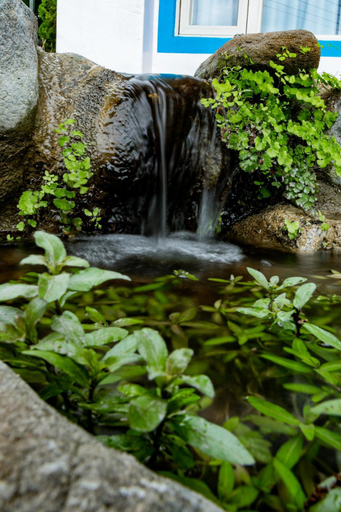 Sport & Beauty, Youyue House , Hualien