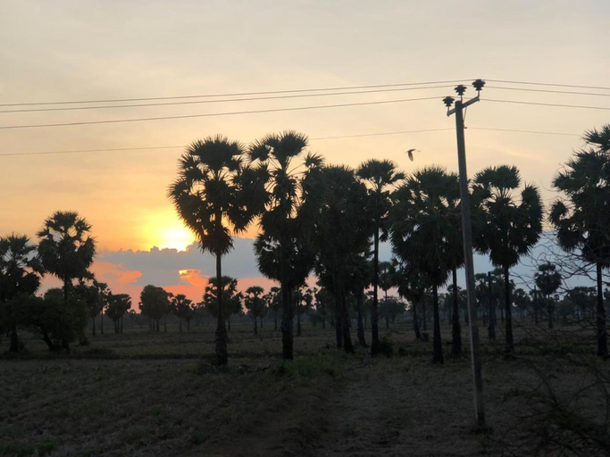 Others 5, Mango Hacienda, Padavi Sri Pura