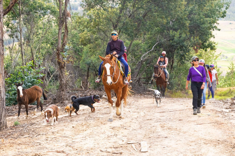 Others 4, Domosup3rlopez - Glamping Petfriendly con Jacuzzi en Boyaca, Pesca