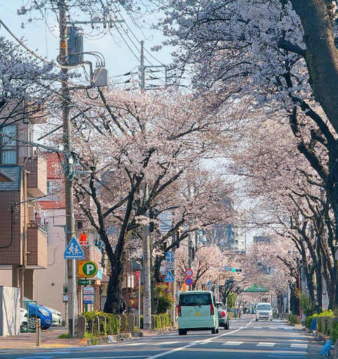 Others 4, 吉屋, Adachi