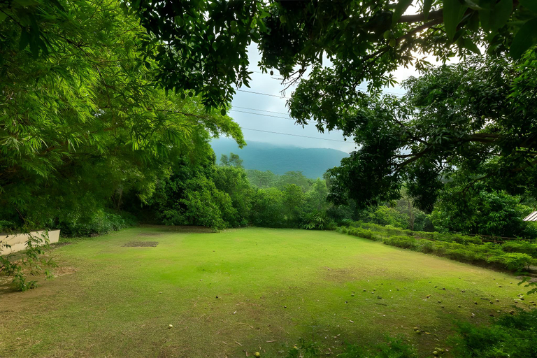Others 4, Dalmanchal, Our Khet, Saraikela-kharsawan