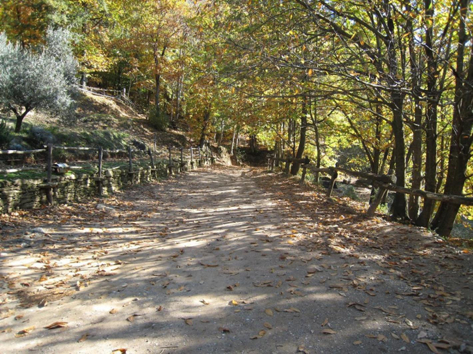Others 4, Centro Trekking a Cavallo Monte Brugiana, Massa Carrara