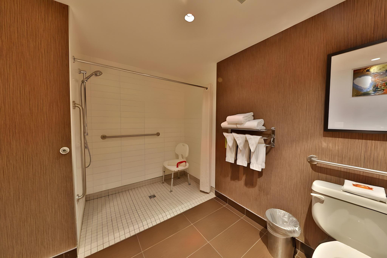 Bathroom 4, Edmonton Hotel & Convention Centre, Division No. 11