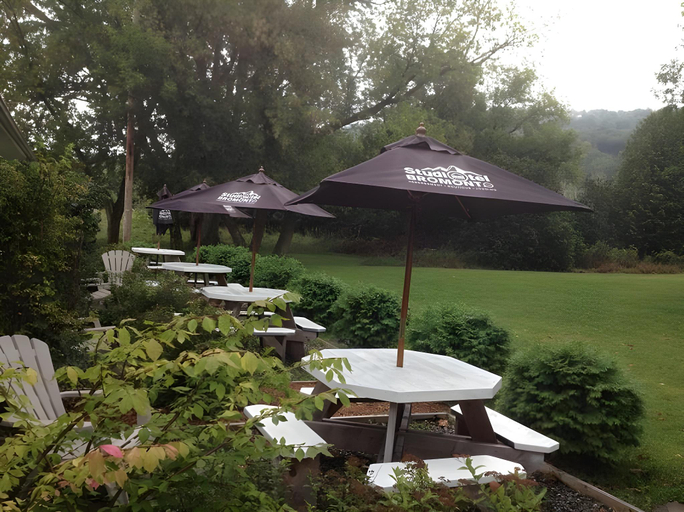 Others 5, Studiotel Bromont, La Haute-Yamaska