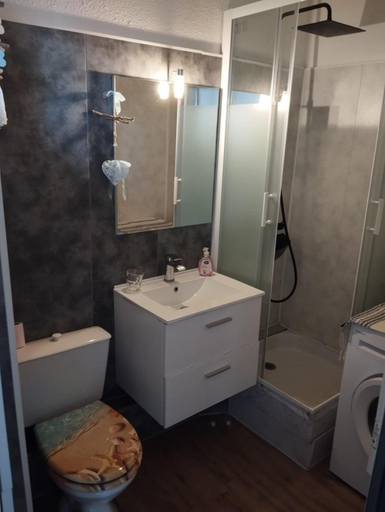 Bathroom 3, les raisins dor - Appartement 45 pers - 1 ch Piscine Parking, Hérault