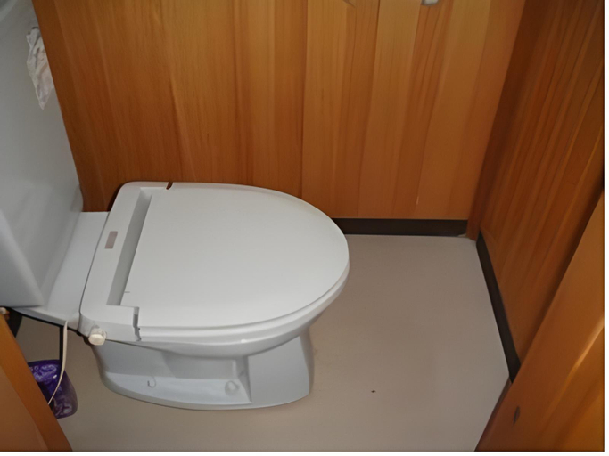 Bathroom 4, Ikariya Ryokan, Yamanouchi