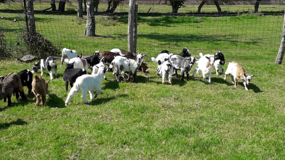 Others 2, Domaine de Pimont, Seine-Maritime