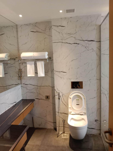Bathroom 2, Sarovar Portico Sonepat, Sonipat