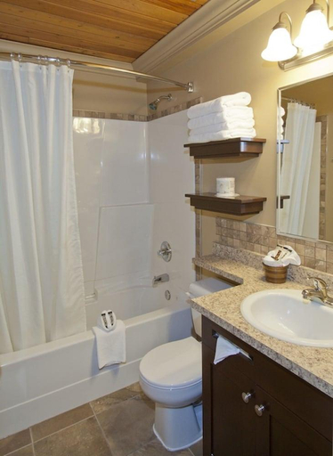Bathroom 4, Overlander Mountain Lodge, Division No. 14