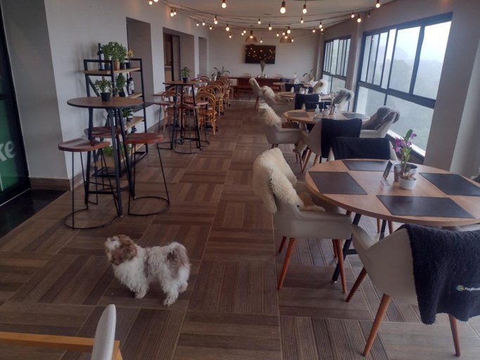 Others 4, Carpe Diem Boutique & Spa - Suite Classic, Campo Limpo Paulista