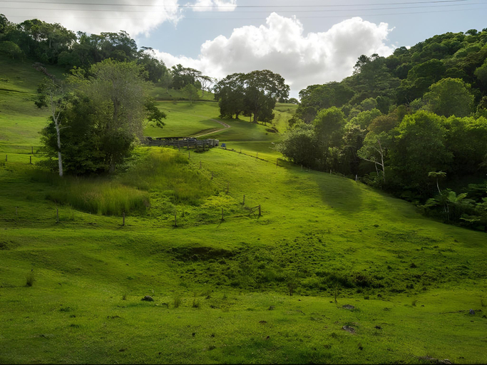 Others 5, Watersmeet Homestead, Caboolture - Hinterland