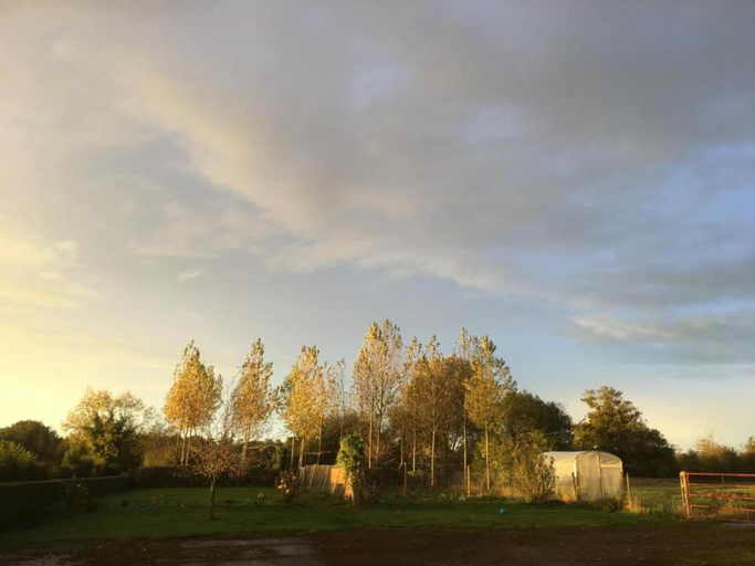 Others 5, Tranquil Cottage in Normandy, Calvados