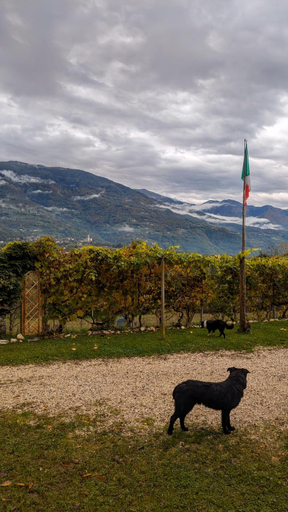 Others 3, Maso Dau, Trento