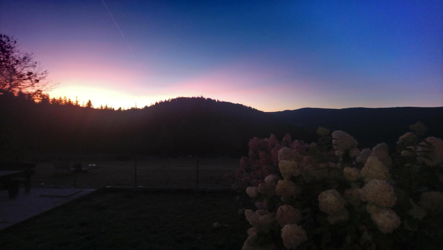 Others 4, Chambre d'hotes LES BRIMBELLES, Vosges