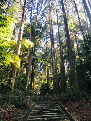 Others 5, Shankara Lodge, Kirishima