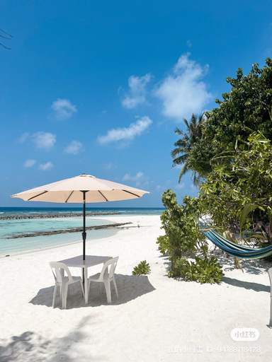 Food & Drinks 3, Bougainvillea Inn - Maldives, Vaavu Atoll