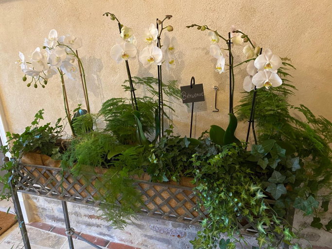 Others 5, Les Hortensias, Oise