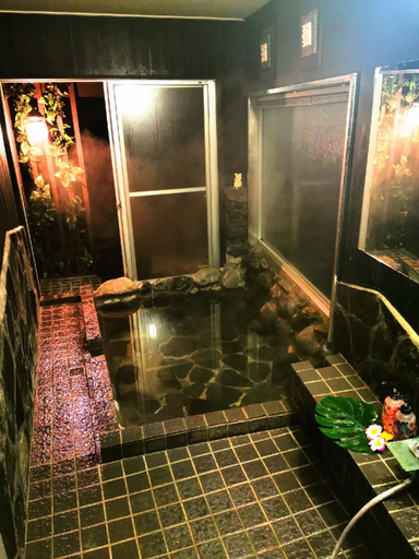 Bathroom 3, Shankara Lodge, Kirishima