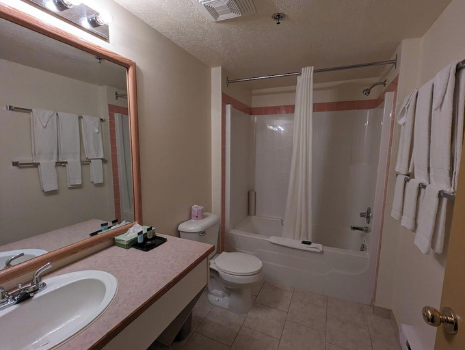 Bathroom 4, Western Budget Motel Leduc 3, Division No. 11