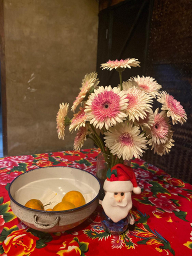 Food & Drinks 5, Le Petit Home, Đồng Văn