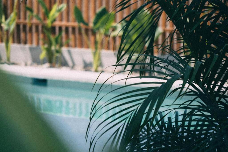 Sport & Beauty 5, Casa Nuez- Villa with AC, Pool and Magical Sunset Views, Dist. Pochutla