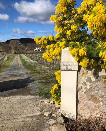 Others 4, Domaine de Peilhan, Hérault