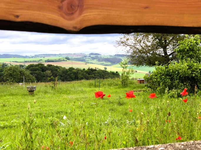 Others 2, Feriendorf Reinskopf in der Eifel, Eifelkreis Bitburg-Prüm