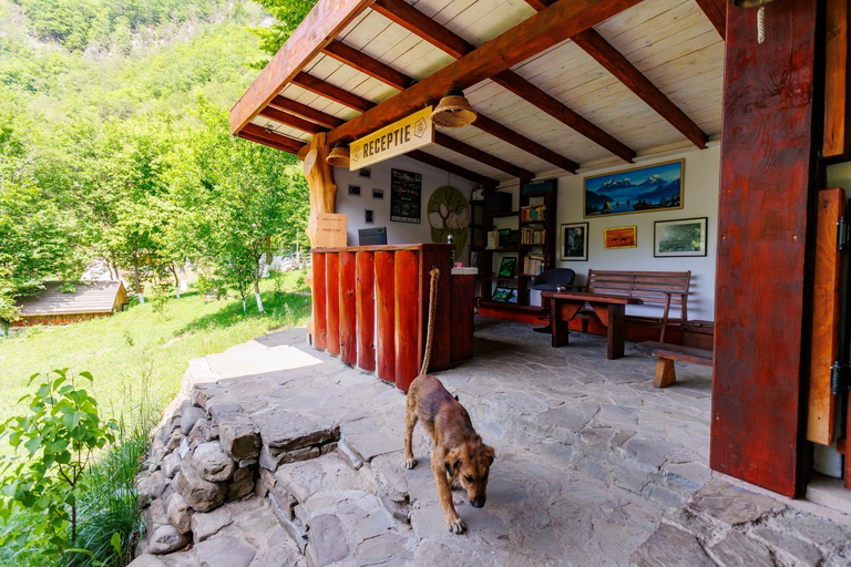 Public Area, Green Camp - Adventure Glamping, Gura Teghii